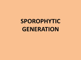 SPOROPHYTIC
GENERATION
 