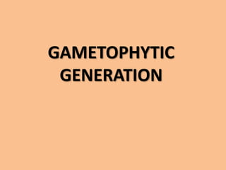 GAMETOPHYTIC
GENERATION
 