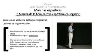 ALTERACIONES NEUROLÓGICAS
Marchas espásticas
Marcha
I.) Marcha de la hemiparesia espástica (en segador)
Compromiso unilateral del haz corticoespinal.
Lesiones de origen vascular.
• Miembro superior cercano al cuerpo, rígido y en
flexión
• Miembro inferior rígido y en extensión
• Se arrastra miembro inferior al caminar. Dedos
de los pies permanecen contracturados
• Se levanta cadera para elevar el pie
• Movimiento del pie en semicírculo con cada
paso
 