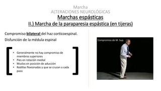 ALTERACIONES NEUROLÓGICAS
Marchas espásticas
Marcha
II.) Marcha de la paraparesia espástica (en tijeras)
Compromiso bilateral del haz corticoespinal.
Disfunción de la médula espinal
• Generalmente no hay compromiso de
miembros superiores
• Pies en rotación medial
• Muslos en posición de aducción
• Rodillas flexionadas y que se cruzan a cada
paso
[ ]
Sin compromiso de M. Sup.Compromiso de M. Sup.
 