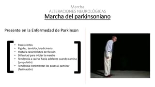 ALTERACIONES NEUROLÓGICAS
Marcha del parkinsoniano
Marcha
Presente en la Enfermedad de Parkinson
• Pasos cortos
• Rigidez, temblor, bradicinesia
• Postura característica de flexión
• Dificultad para iniciar la marcha
• Tendencia a caerse hacia adelante cuando camina
(propulsión)
• Tendencia incrementar los pasos al caminar
(festinación)
 