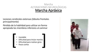 ALTERACIONES NEUROLÓGICAS
Marcha Apráxica
Marcha
Lesiones cerebrales extensas (lóbulos frontales
principalmente)
Pérdida de la habilidad para utilizar en forma
apropiada los miembros inferiores al caminar
• Inestable
• Dificultad para iniciar marcha
• Dificultad para realizar giros
• Pasos cortos[ ]
 