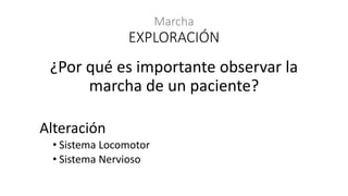 Marcha
¿Por qué es importante observar la
marcha de un paciente?
Alteración
• Sistema Locomotor
• Sistema Nervioso
EXPLORACIÓN
 