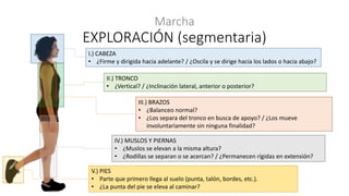 Marcha
EXPLORACIÓN (segmentaria)
I.) CABEZA
• ¿Firme y dirigida hacia adelante? / ¿Oscila y se dirige hacia los lados o hacia abajo?
III.) BRAZOS
• ¿Balanceo normal?
• ¿Los separa del tronco en busca de apoyo? / ¿Los mueve
involuntariamente sin ninguna finalidad?
II.) TRONCO
• ¿Vertical? / ¿Inclinación lateral, anterior o posterior?
IV.) MUSLOS Y PIERNAS
• ¿Muslos se elevan a la misma altura?
• ¿Rodillas se separan o se acercan? / ¿Permanecen rígidas en extensión?
V.) PIES
• Parte que primero llega al suelo (punta, talón, bordes, etc.).
• ¿La punta del pie se eleva al caminar?
 