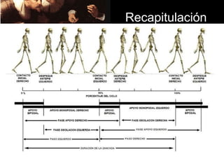 Recapitulación
 