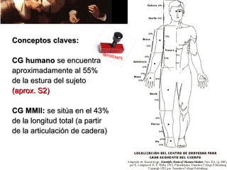 Conceptos claves:

CG humano se encuentra
aproximadamente al 55%
de la estura del sujeto
(aprox. S2)

CG MMII: se sitúa en el 43%
de la longitud total (a partir
de la articulación de cadera)
 