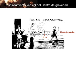 Desplazamiento vertical del Centro de gravedad




                                        Línea de marcha

                           5 cm
 