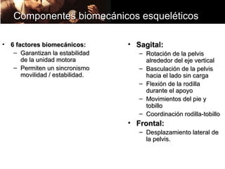 Componentes biomecánicos esqueléticos

•   6 factores biomecánicos:       • Sagital:
     – Garantizan la estabilidad      – Rotación de la pelvis
        de la unidad motora             alrededor del eje vertical
     – Permiten un sincronismo        – Basculación de la pelvis
        movilidad / estabilidad.        hacia el lado sin carga
                                      – Flexión de la rodilla
                                        durante el apoyo
                                      – Movimientos del pie y
                                        tobillo
                                      – Coordinación rodilla-tobillo
                                   • Frontal:
                                      – Desplazamiento lateral de
                                        la pelvis.
 