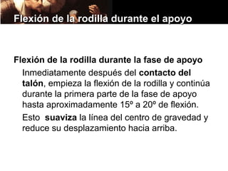Flexión de la rodilla durante el apoyo



Flexión de la rodilla durante la fase de apoyo
  Inmediatamente después del contacto del
  talón, empieza la flexión de la rodilla y continúa
  durante la primera parte de la fase de apoyo
  hasta aproximadamente 15º a 20º de flexión.
  Esto suaviza la línea del centro de gravedad y
  reduce su desplazamiento hacia arriba.
 