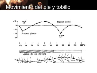 Movimiento del pie y tobillo
 