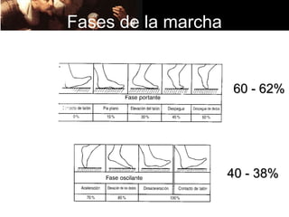 Fases de la marcha


                     60 - 62%




                     40 - 38%
 