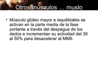Otros músculos … muslo
• Músculo glúteo mayor e isquitibiales se
  activan en la parte media de la fase
  portante a través del despegue de los
  dedos e incrementan su actividad del 30
  al 50% para desacelerar al MMII.
 