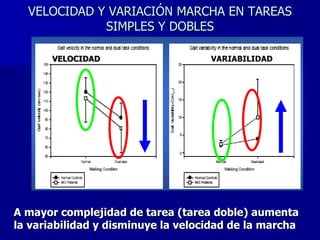 VELOCIDAD Y VARIACIÓN MARCHA EN TAREAS SIMPLES Y DOBLES VELOCIDAD VARIABILIDAD A mayor complejidad de tarea (tarea doble) aumenta la variabilidad y disminuye la velocidad de la marcha 