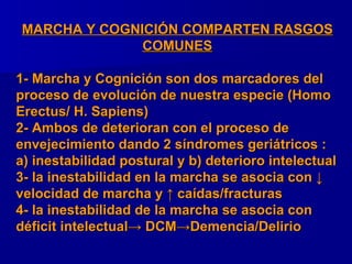 MARCHA Y COGNICIÓN COMPARTEN RASGOS COMUNES 1- Marcha y Cognición son dos marcadores del proceso de evolución de nuestra especie (Homo Erectus/ H. Sapiens) 2- Ambos de deterioran con el proceso de envejecimiento dando 2 síndromes geriátricos : a) inestabilidad postural y b) deterioro intelectual 3- la inestabilidad en la marcha se asocia con  ↓  velocidad de marcha y ↑ caídas/fracturas 4- la inestabilidad de la marcha se asocia con déficit intelectual ->  DCM -> Demencia/Delirio 