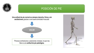 POSICIÓN DE PIE
Una actitud de pie normal es siempre derecha, firme y sin
oscilaciones gracias a una buena tonicidad muscular.
DOLOR
Provoca contracturas o posiciones viciosas, lo que nos
lleva a una actitud de pie patológica.
 