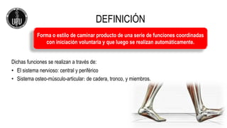 DEFINICIÓN
Dichas funciones se realizan a través de:
• El sistema nervioso: central y periférico
• Sistema osteo-músculo-articular: de cadera, tronco, y miembros.
Forma o estilo de caminar producto de una serie de funciones coordinadas
con iniciación voluntaria y que luego se realizan automáticamente.
 