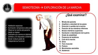 SEMIOTECNIA  EXPLORACIÓN DE LA MARCHA
¿Qué examinar?
1. Mirada del paciente
2. Amplitud y velocidad de los pasos
3. Dirección o sentido de la marcha
4. Posición de los miembros inferiores
5. Braceo miembros superiores
6. Oscilación o lateralización de la pelvis
7. Grado de estabilidad
8. Presencia de temblores
9. Ciclo de la marcha
10. Giros
11. Tono muscular
12. Postura
13. Movimientos asociados
14. Asistencia
 Habitación espaciosa
 Iluminación, temperatura adecuada
 Observar la marcha del paciente
desde su ingreso
 Solicitarle que camine en distintos
sentidos y en respuesta a órdenes.
 Social: evaluar grado de
independencia funcional
 
