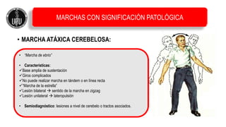 • MARCHA ATÁXICA CEREBELOSA:
• “Marcha de ebrio”
• Características:
Base amplia de sustentación
Giros complicados
No puede realizar marcha en tándem o en línea recta
“Marcha de la estrella”
Lesión bilateral  sentido de la marcha en zigzag
Lesión unilateral  lateropulsión
• Semiodiagnóstico: lesiones a nivel de cerebelo o tractos asociados.
MARCHAS CON SIGNIFICACIÓN PATOLÓGICA
 