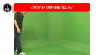 MARCHA EN STEPAGGE (“EQUINA”)
 
