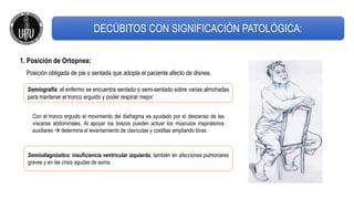 DECÚBITOS CON SIGNIFICACIÓN PATOLÓGICA:
Posición obligada de pie o sentada que adopta el paciente afecto de disnea.
Semiografía: el enfermo se encuentra sentado o semi-sentado sobre varias almohadas
para mantener el tronco erguido y poder respirar mejor.
Con el tronco erguido el movimiento del diafragma es ayudado por el descenso de las
vísceras abdominales. Al apoyar los brazos pueden actuar los músculos inspiratorios
auxiliares  determina el levantamiento de clavículas y costillas ampliando tórax.
1. Posición de Ortopnea:
Semiodiagnóstico: insuficiencia ventricular izquierda, también en afecciones pulmonares
graves y en las crisis agudas de asma.
 