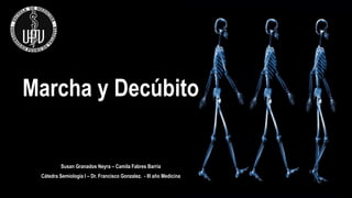 Marcha y Decúbito
Susan Granados Neyra – Camila Fabres Barria
Cátedra Semiología I – Dr. Francisco Gonzalez. - III año Medicina
 