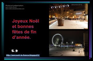 Marché de noël de metz 2010