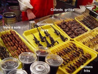 Scorpions
noirs
Vers à soie
Grillons
frits
Cafards grillés
 