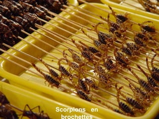Scorpions en
brochettes
 