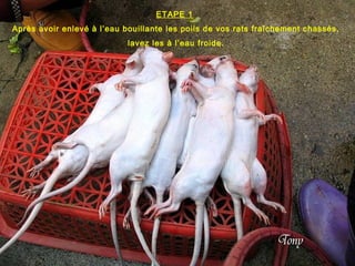 ETAPE 1
Après avoir enlevé à l’eau bouillante les poils de vos rats fraîchement chassés,
lavez les à l’eau froide.
 