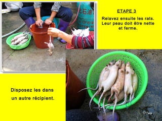 ETAPE 3
Relavez ensuite les rats.
Leur peau doit être nette
et ferme.
Disposez les dans
un autre récipient.
 