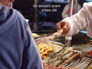 Un serpent avant
d’être rôti
 