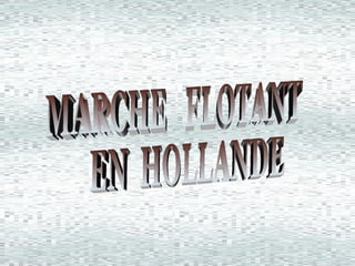 MARCHE  FLOTANT EN  HOLLANDE 