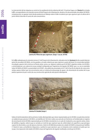 La intervención de las máquinas se centró en la canalización de las tuberías del vial 1. En primer lugar, en el Sector 4 se situaba
la z1, correspondiente a la vivienda número 40 del Proyecto de Urbanización, donde se ha documentado otra pileta (UE 0039),
compuesta por un aparejo mixto donde predomina el sillarejo sobre el sillar recubierto por opus signinum que a la altura de la
junta inferior describe el cuarto de caña característico.
ANUARIOARQUEOLÓGICODEANDALUCÍA2006sevilla
4465
Lámina III. Pileta de opus signinum. zanja 1 (uu.ee. 39-40)
Lámina IV. Detalle zanja 2
En la z2, realizada para la vivienda número 41 del Proyecto de Urbanización, ubicada entre los Sectores 3 y 4, se pudo detectar
parte de otra pileta (UE 0026), con las paredes y el suelo cubierto por opus signinum y parte del bocel. Se conservaba también
el acabado superior de la misma en el frente oeste, norte y sur. Aparece cubierta por la UE 0027, depósito similar a la UE 0022,
y amortizada por una solería de escasa entidad configurada por fragmentos de tegulae (UE 0030), que a su vez se asentaba
sobre UE 0028 y UE 0029. La proximidad a la UE 0021, otra pileta documentada en la C1 de la Fase III y la relación de cotas entre
ambas, parece indicar que nos encontramos ante un sistema de almacenaje de aguas o de decantación de aceites de lo que
podría suponerse la pars rustica de una construcción agrícola de adscripción altoimperial.
Sobre el nivel de abandono de los primeros niveles altoimperiales que vienen representados por la UE 0022, se pudo documentar
un solado de opus spicatum (UE 0032), con ladrillos de 10x7x3cm sobre una cama de cal. Asimismo, se ha detectado un registro
de amortización de la UE 0026, representada por la UE 0028, consistente en un suelo de nivelación y una capa de cantos, restos
de ladrillos y tegulae, sobre la que se sentaba un nivel de opus signinum que da uniformidad a la superficie y que persigue
superar los desniveles y usos de épocas anteriores. Sobre la UE 0028 descansaba otro solado (UE 0029) compuesto por ladrillos
(11x6x2cm) rojos y amarillentos dispuestos a sardinel en opus spicatum, que se interpreta como coetáneo al suelo que nos
ocupa. Una reparación del solado (UE 0030) a base de fragmentos de tegulae reutilizadas constituye la UE 0031.
 