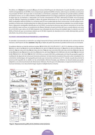 Por último, en el Sector 3 se practicó la z3 para el número 28 del Proyecto de Urbanización. Se pudo identificar como primer
nivel el correspondiente a la UE 0042, muro compuesto por aparejo de ladrillos romanos, sobre el que se asentaba una estructura
muy arrasada (UE 0037), de la que sólo se conservaba su cimentación y preparado, compuesto por grandes piedras y ladrillos
de tradición romana, con un orificio cilíndrico, huella probablemente de una antigua canalización, que podría indicar la presencia
de algún tipo de uso hidráulico o relacionado con el aceite. Amortizando la UE 0037, detectamos UE 0036, muro de aparejo
mixto de sillarejos, fragmentos de ladrillos y sillares de grandes dimensiones en su cara oeste. Restos de opus signinum (UE
0042) se adosaban sobre la UE 0036 en su vertiente oeste. El muro evidenciaba dos fases constructivas: a la más antigua corres-
pondería su frente oeste, donde predominan los sillares de mayor dimensiones, levemente escuadrados; tras una fase de aban-
dono y deposición estratigráfica identificada con la UE 0022, se amortiza la estructura que ahora se acrecenta en la cara Este,
para conferirle mayor anchura, con predominio de sillarejo. Adosado a la parte primitiva del muro se pudo detectar una cama
de cal (UE 0035), que cubría a la UE 0038, depósito muy colmatado de arena limosa de tonalidad rojiza. Su relación con la UE
0036 y el hecho de que se encontrara cubierto por el UE 0022, depósito de abandono de los niveles altoimperiales, permite
adscribirlo a las primeras fases ocupacionales.
IV.4 FASE V: EXCAVACIóN EN EXTENSIóN DE LA NECRóPOLIS
Se precedió a la excavación en extensión con rebaje manual de la franja central del solar afectada por la construcción de la
manzana 2 del Proyecto de Obra (sectores 7, 8 y 13), al objeto de poder documentar la posible existencia de una necrópolis.
Se pudieron detectar un total de veintiuna tumbas: T0 (UE 0109, UE 0110) y T1 (UE 0111, UE 0112), referidas en la fase anterior;
T2 (UE 0113, UE 0119); T3 (UE 0114, UE 0120); T4 (UE 0125, UE 0121); T5 (UE 0126, UE 0117); T6 (UE 0122, UE 0123); T7 (UE 0126,
UE 0127); T8 (UE 0128, UE 0129); T9 (UE 0140, UE 0141); T10 (UE 0142, UE 0143); T11 (UE 0144, UE 0145); T12 (UE 0148, UE
0149); T13 (UE 0150); T14 (UE 0152, UE 0153); T15 (UE 0155, UE 0156); T16 (UE 0157); T17 (UE 0139, UE 0158);T18 (UE 0159, UE
0160); T19 (UE 0161, UE 0162); T20 (UE 0147, UE 0163); y un osario (UE 0105), ya detectado en la Fase III, que podría sugerir la
reutilización de alguna de las estructuras funerarias anteriores. Se trata esta de una práctica frecuente y bien estudiada en los
cementerios tardoantiguos de la geografía peninsular, que reconocimos asimismo en la T11, donde se pudo documentar la
presencia del esqueleto de un adulto con las extremidades inferiores forzadas, que debieron ser desarticuladas para poder
adaptarlo a una estructura funeraria de dimensiones inferiores. Pese ha que se ha detectado un reaprovechamiento de las es-
tructuras funerarias, no se documentó ningún sepulcro múltiple bísomo o trísomo.
ANUARIOARQUEOLÓGICODEANDALUCÍA2006sevilla
4466
Figura1. Representación gráfica de los distintos enterramientos
 