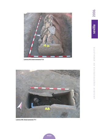 ANUARIOARQUEOLÓGICODEANDALUCÍA2006sevilla
4468
Lámina VII. Enterramiento T10
Lámina VIII. Enterramiento T11
 