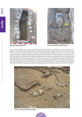 Hacía el sudeste del espacio cementerial se pudo documentar la existencia de unos muros arrasados de escasa entidad que de-
limitarían un ámbito de tendencia rectangular con orientación similar a la de las tumbas. Su fábrica se componía de una cimen-
tación de restos de acarreo de materiales constructivos de desecho (ladrillos y tegulae) sobre la que se asentaba el muro,
compuesto de sillares y sillarejos irregulares y desbastados en las caras exteriores con argamasa de barro. Su estado de destruc-
ción es casi absoluto. Se encuentra desmochado en su totalidad hasta los cimientos, probablemente como consecuencia de las
faenas agrícolas que han marcado el devenir del solar. Si bien, los escasos restos conservados nos han permitido detectar hacia
el frente noroeste dos esquinas bien delimitadas que cerrarían el espacio. Desgraciadamente hacía el sureste no se pudo detectar
el cerramiento ya que el muro situado más al norte se encontraba derruido, mientras que el situado más hacia el sur fue destruido
por la intervención de las máquinas excavadoras. En consecuencia, resulta imposible documentar el cerramiento y su planta.
ANUARIOARQUEOLÓGICODEANDALUCÍA2006sevilla
4469
Lámina IX. Enterramiento T17 Lámina X. Detalle enterramiento T17
Lámina XI. Vista parcial de la necrópolis
 