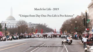 March for Life - 2019
“Unique from Day One: Pro-Life is Pro-Science”
Photos by Matt Pirrall of Ascension Press
 