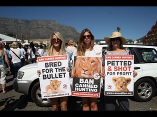 March for Lions