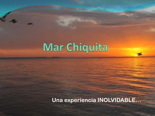 Una experiencia INOLVIDABLE…

 