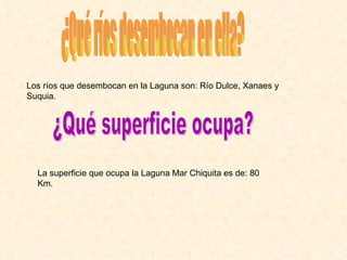 ¿Qué ríos desembocan en ella? Los ríos que desembocan en la Laguna son: Río Dulce, Xanaes y Suquia. ¿Qué superficie ocupa? La superficie que ocupa la Laguna Mar Chiquita es de: 80 Km. 