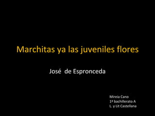 Marchitas ya las juveniles flores José  de Espronceda Mireia Cano 1ª bachillerato A L. y Lit Castellana 