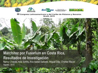 Marchitez por Fusarium en Costa Rica,
Resultados de Investigación
Nancy Chaves, Ayla Schilly, Ana Isabel Salcedo, Miguel Dita, Charles Staver
Agosto, 2015
 