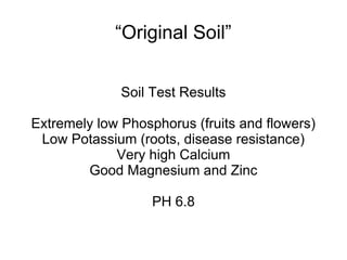 “Original Soil”
Soil Test Results
Extremely low Phosphorus (fruits and flowers)
Low Potassium (roots, disease resistance)
Very high Calcium
Good Magnesium and Zinc
PH 6.8
 