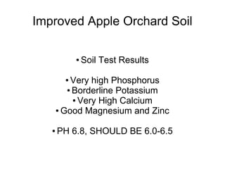 Improved Apple Orchard Soil
● Soil Test Results
● Very high Phosphorus
● Borderline Potassium
● Very High Calcium
● Good Magnesium and Zinc
● PH 6.8, SHOULD BE 6.0-6.5
 