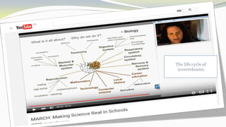 The life cycle of
invertebrates
 