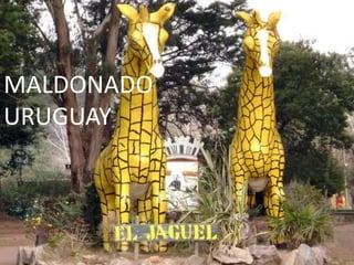 MALDONADO
URUGUAY
 