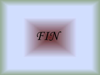 FIN
 