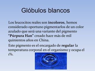 Glóbulos blancos
Los leucocitos reales son incoloros, hemos
considerado oportuno pigmentarlos de un color
azulado que será una variante del pigmento
“Púrpura Han” creado hace más de mil
quinientos años en China.
Este pigmento es el encargado de regular la
temperatura corporal en el organismo y ocupa el
1%.
 
