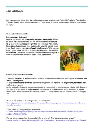 Com és el cos dels artròpodes
4. ELS ARTRÒPODES
Tenen simetria bilateral.
Tenen el cos cobert per un esquelet extern o exosquelet format
per peces articulades i formats per una substancia anomenada quiti-
na. L’ exosquelet apart de protegir-los impedeix que s’assequin.
Tenen apèndixs articulats com les potes, les ales... La majoria tenen
el cos dividit en tres zoes: cap, tòrax i l’abdomen. N’hi ha que te-
nen el cap i el tòrax fusionats i formen el cefalotòrax. Al cap hi te-
nen antenes... Tenen els òrgans dels sentits molt desenvolupats. Si
tenen els ulls simples s’anomenen ocels i si no compostos.
Com són les funcions dels artròpodes
Tenen una alimentació variada i es relaciona amb la seva manera de viure. Hi ha artròpodes carnívors , her-
bívors i carronyaires.
La majoria tenen sexes separats i es mascles i les femelles son diferents. Son ovípars i la fecundació nor-
malment es interna.
Alguns artròpodes del ou neix una larva, després fan la metamorfosis es converteix en un individu adult. Quan crei-
xen s’han de desprendre d’un esquelet extern i en formen un de nou. Aquest procés rep el nom de muda.
Aquest procés passa diversos cops a la vida de l’animal. Es classifiquen en insectes, aràcnids, crustacis i miriàpo-
des.
Busca en els conceptes clau l’origen del terme artròpode.
Els artròpodes son invertebrats dotats d'un exosquelet un cos segmentat, i extremitats articulades ano-
menades apèndixs.
Quina funció té l’exosquelet dels artròpodes?
La funció de l’exosquelet es protegir-los dels depredadors i evita la dessecació del cos i així es poden
adaptar a hàbits terrestres.
Per què els artròpodes han de mudar la coberta externa? Com s’anomena aquest procés?
Han de mudar la coberta externa perquè a per el creixement i la maduració han de passar una fase es a
Son els grups més nombrosos d’animals, actualment es coneixen mes d’un milió d'espècies d'artròpodes.
Viuen en tots els medis: terrestres marins... Tenen una gran varietat d'adaptacions diferents de maneres
de viure.
 