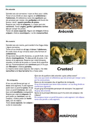 Els aràcnids
Gairebé tots són terrestres i viuen en llocs secs i càlids.
Tenen el cos dividit en dues regions: el cefalotòrax i
l’abdomen. Al cefalotòrax tenen dos quelícers que
els serveixen per menjar, dos pedipalps amb funció de-
fensiva i tàctil, i quatre parelles de potes.
Respiren per mitjà de tràquees. L a major part són
carnívors. Tenen ungles, garfits i glàndules verino-
ses per atrapar les preses.
Tenen els sexes separats. Alguns són vivípars d’altres
ovípars i d’altres ovovivípars, i no fan metamorfosi.
Els crustacis
Gairebé tots són marins, però també hi ha d’aigua dolça
i alguns terrestres.
Tenen el cos dividit en el cap, el tòrax i l’abdomen.
En molts casos el cap i el tòrax estan units formant el
cefalotòrax.
Al cap tenen dos parells d’antenes, un parell d’ulls i man-
díbules mastegadores. Té cinc parells de potes. L’ab-
domen el té segmentat. Respiren per mitjà brànquies,
situades a la base de les potes o a traves de la superfície
del cos. Fonamentalment són carnívors però hi ha que
són filtradors i d’altres paràsits.
La majoria tenen sexes separats. Són ovípars, i fan me-
tamorfosi amb fase larvària fins a l’estat adult.
Aràcnids
Crustaci
Què són els quelícers dels aràcnids i quina utilitat tenen?
Una cosa que tenen al cefalotòrax que els serveix per menjar i atra-
par les seves preses.
Busca en els conceptes clau el significat de miriàpode.
Grup d’artròpodes que tenen dues antenes i un cos llarg dividit en
nombrosos segments.
A quin grup d’artròpodes pertanyen els escorpins i les paparres?
Al grup dels aràcnids.
Quina és la principal diferencia que hi ha entre els centpeus i els
milpeus?
Els centpeus tenen un parell de potes a cada segment i els milpeus
tenen dos parells a cada segment.
Els miriàpodes
El seu cos està format pel cap i el
tronc amb segments. A cada segment
poden tenir un parell de potes. Al cap
tenen un parell d’antenes, ulls i una
boca amb mandíbules mastegadores.
Respiren per mitjà de tràquees. Al-
guns poden ser carnívors, com els
centpeus, i d’altres poden ser herbí-
vors, com els milpeus.
Tenen sexes separats. Són ovípars i
no fan la metamorfosi
MIRÀPODE
 